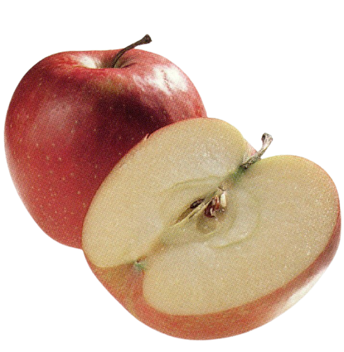 Jonagold Apfel